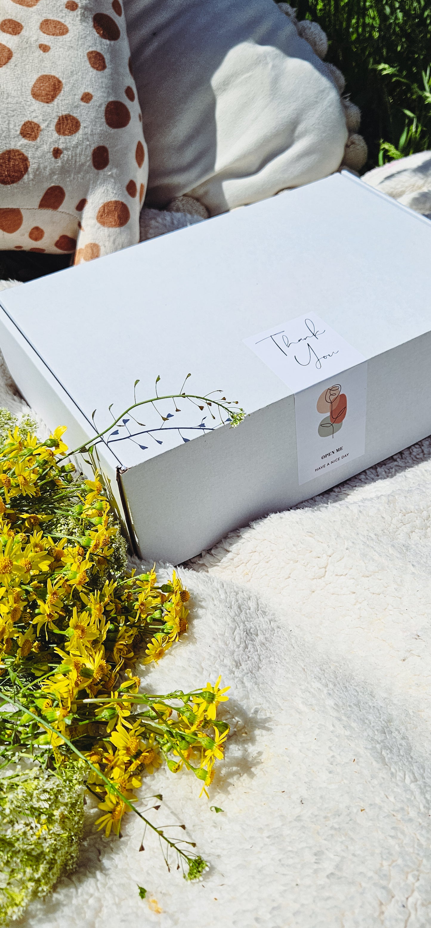 Little Explorers Box