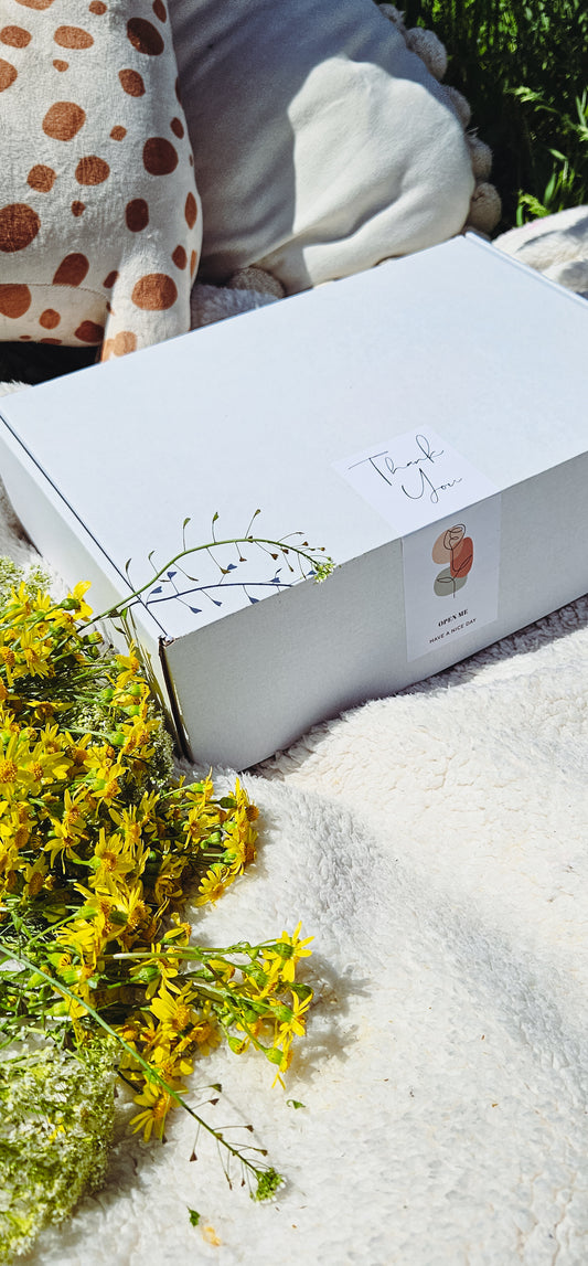 Little Explorers Box