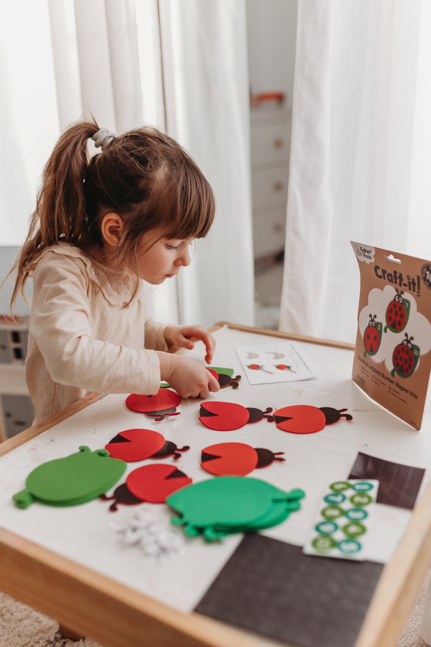 Counting Ladybird – Number Magnet Kit