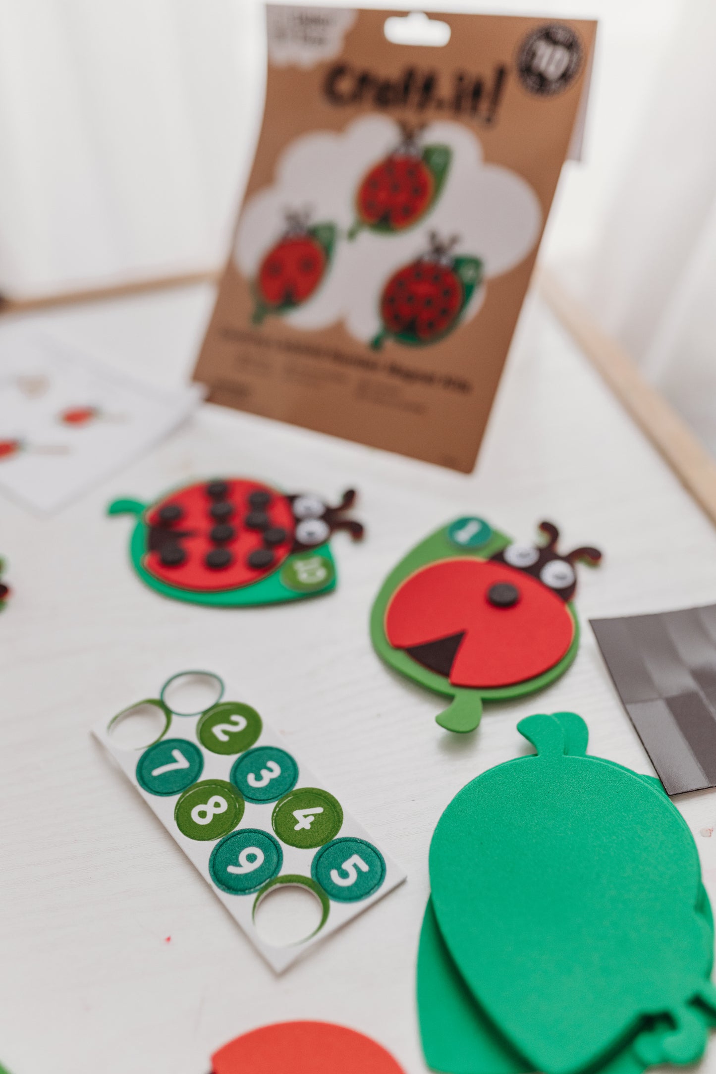 Counting Ladybird – Number Magnet Kit