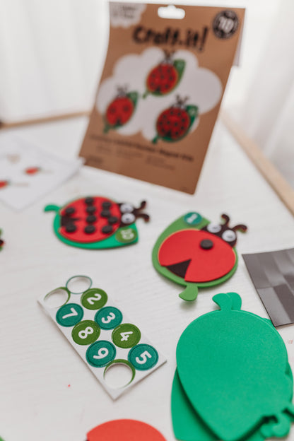 Counting Ladybird – Number Magnet Kit