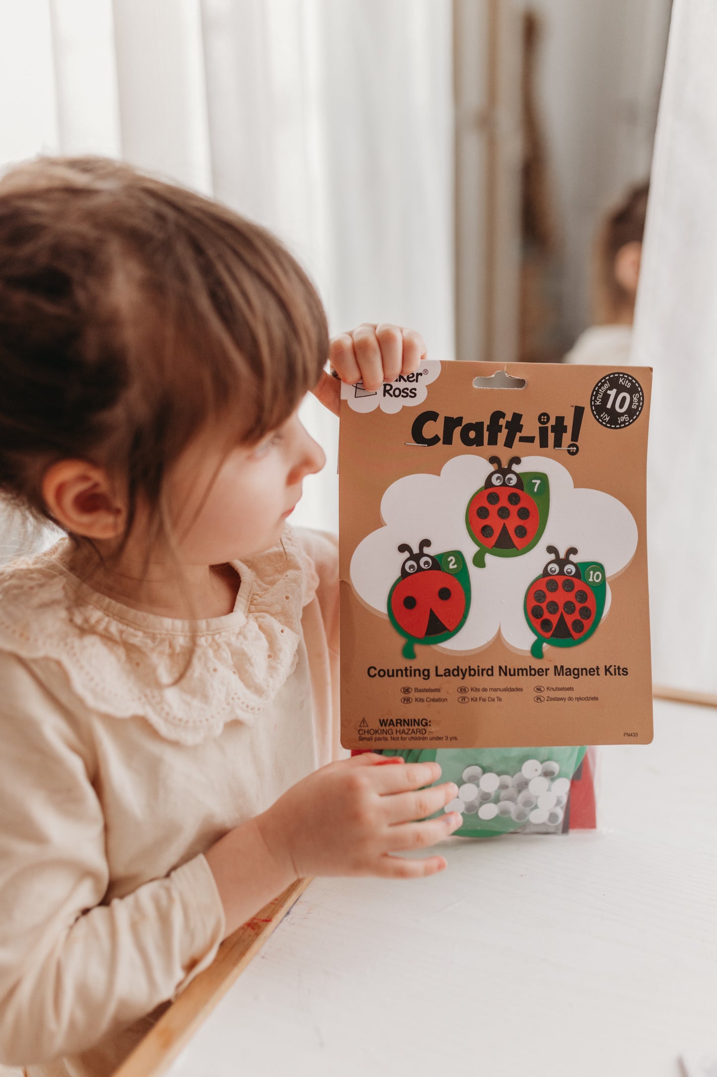 Counting Ladybird – Number Magnet Kit