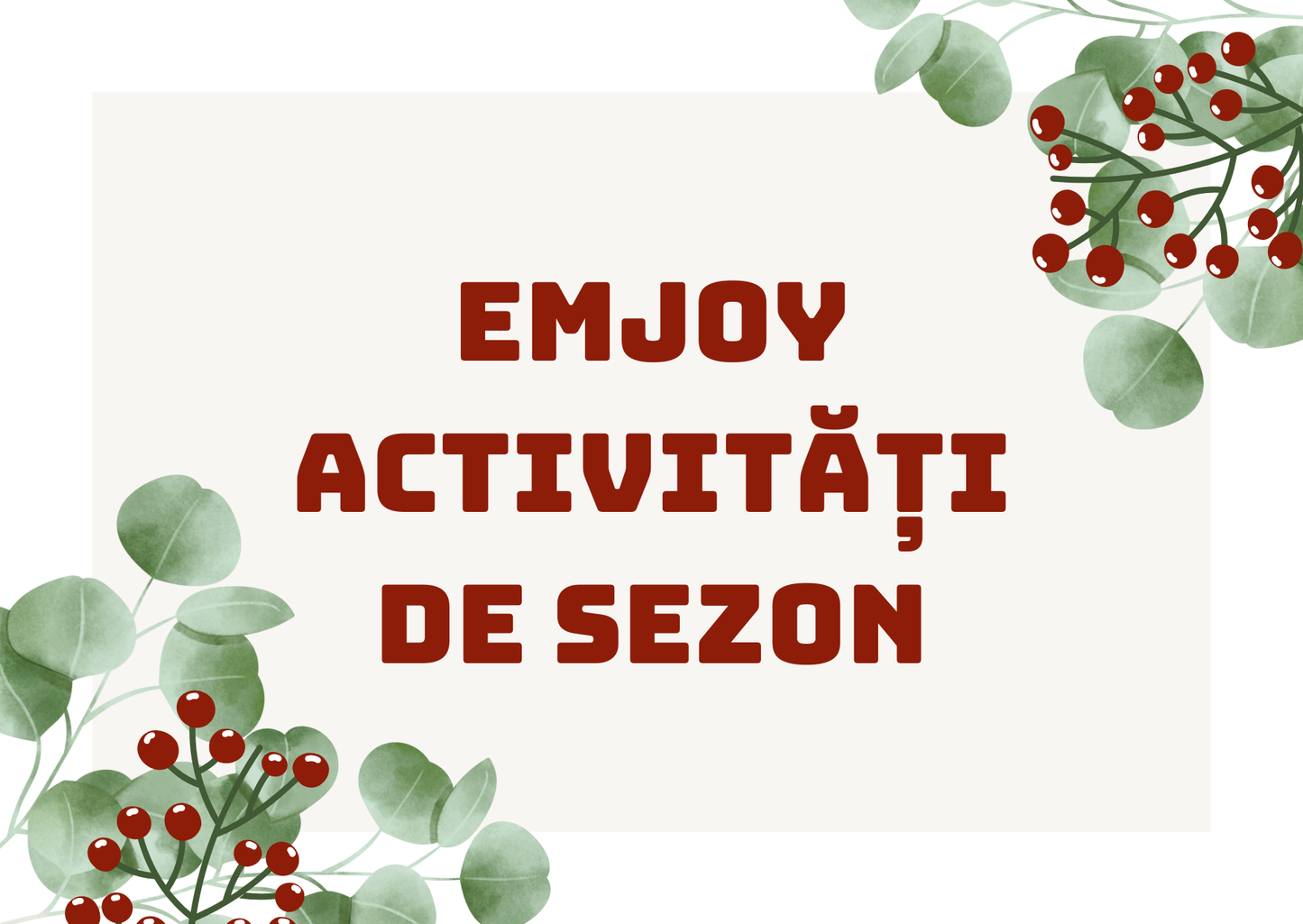 Christmas Story Box – Nașterea Domnului